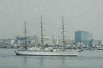 Dcim4226/DSC_8042