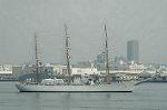 Dcim4226/DSC_8049