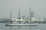 Dcim4226/DSC_8051