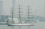 Dcim4226/DSC_8068