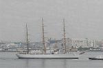 Dcim4227/DSC_0443