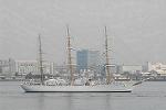 Dcim4227/DSC_0451