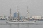 Dcim4227/DSC_0454