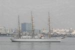 Dcim4227/DSC_0455