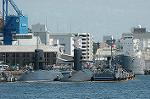 Dcim4230/DSC_8334