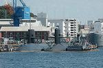 Dcim4230/DSC_8335