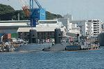 Dcim4230/DSC_8337