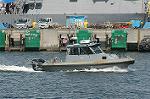 Dcim4230/DSC_8339