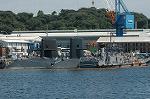Dcim4230/DSC_8340