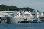 Dcim4230/DSC_8343
