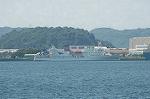 Dcim4231/DSC_8447