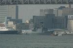 Dcim4253/DSC_9585