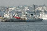 Dcim4265/DSC_0557