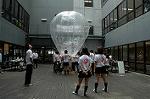 Dcim4269/DSC_0883