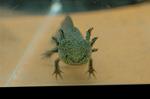 Dcim4273/DSC_1226