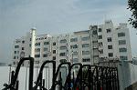 Dcim4294/DSC_3235