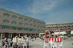 Dcim4294/DSC_3237