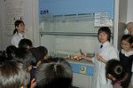 Dcim4294/DSC_3259