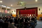 Dcim4294/DSC_3284