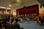 Dcim4294/DSC_3293