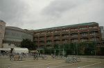 Dcim4294/DSC_3304