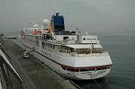 Dcim4296/DSC_3375
