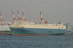 Dcim4296/DSC_3436