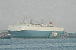 Dcim4296/DSC_3446