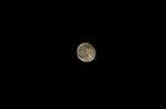 Dcim4303/DSC_4791