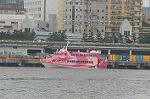 Dcim4311/DSC_4900