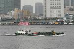 Dcim4311/DSC_4901