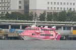 Dcim4311/DSC_4904