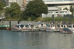 Dcim4324/DSC_5317