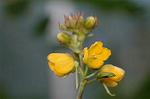 Dcim4326/DSC_5512