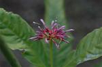 Dcim4326/DSC_5527