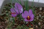 Dcim4326/DSC_5552
