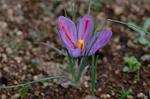 Dcim4326/DSC_5556