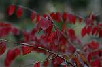 Dcim4326/DSC_5562