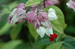 Dcim4328/DSC_5632