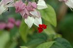 Dcim4328/DSC_5637