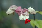 Dcim4328/DSC_5658