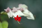 Dcim4328/DSC_5659