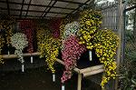 Dcim4330/DSC_5793