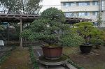 Dcim4330/DSC_5799