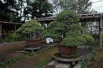 Dcim4330/DSC_5800