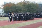 Dcim4335/DSC_5299
