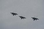 Dcim4335/DSC_5343