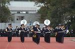 Dcim4335/DSC_5353