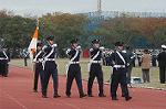 Dcim4335/DSC_5403