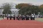 Dcim4336/DSC_5415